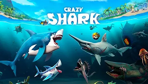 Crazy Shark