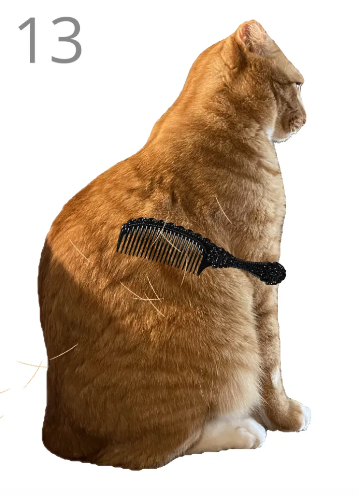 Brush Jjaemu screenshot 1