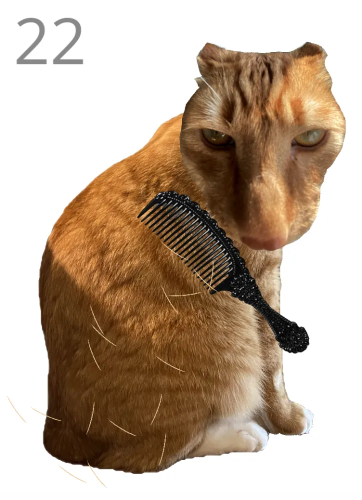 Brush Jjaemu screenshot 2