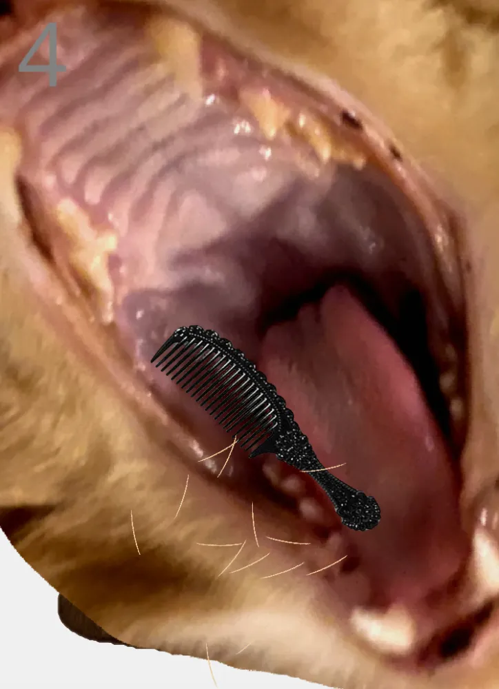 Brush Jjaemu screenshot 3