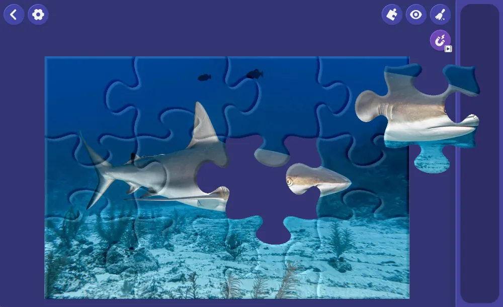 Jigsaw Puzzle World screenshot 2